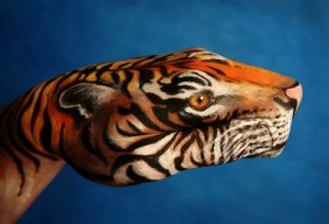 tiger_illusions
